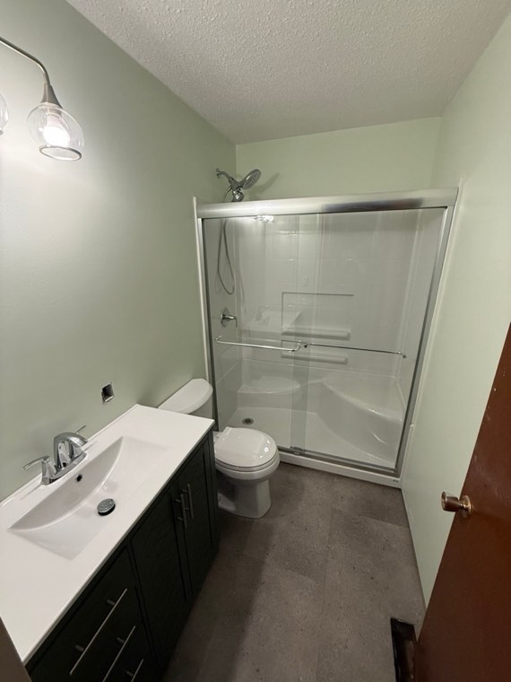 Finished bathroom with new shower, toilet and vanity